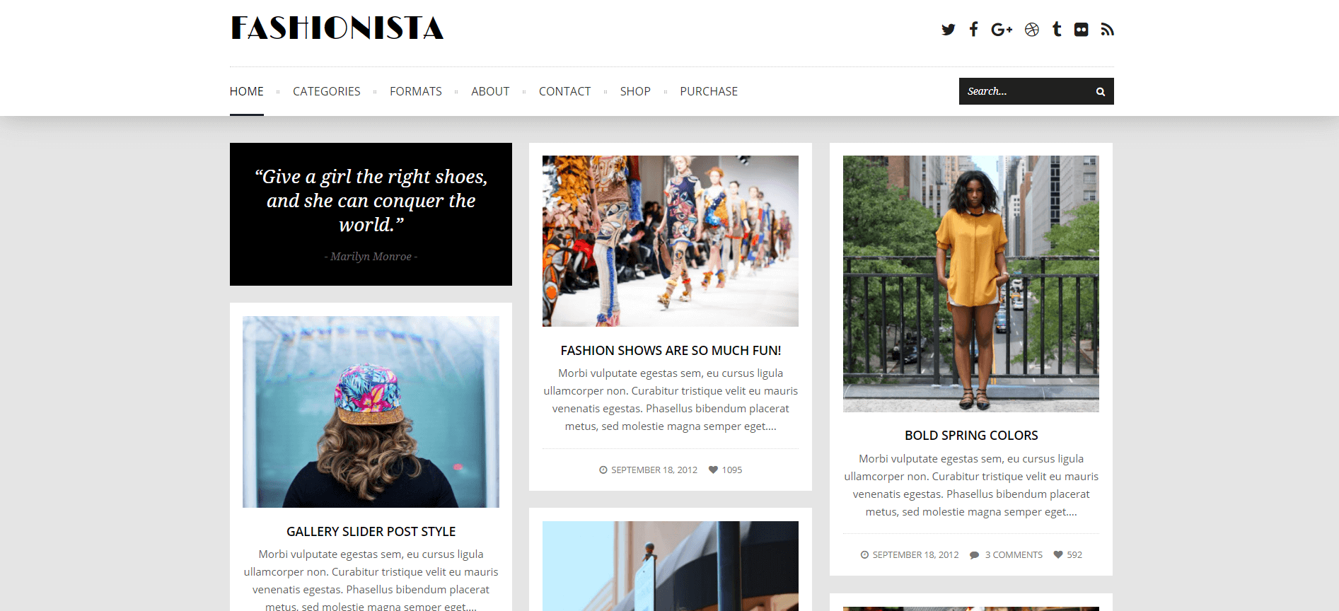 wordpress themes similar to wordpress fashiniosta